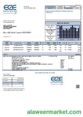 USA Minnesota East Central Energy business utility bill template in Word and PDF formats